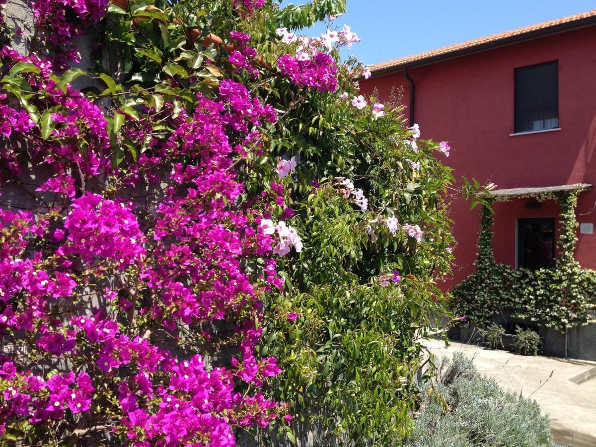 Antoniana Bed & Breakfast La Spezia Exterior photo